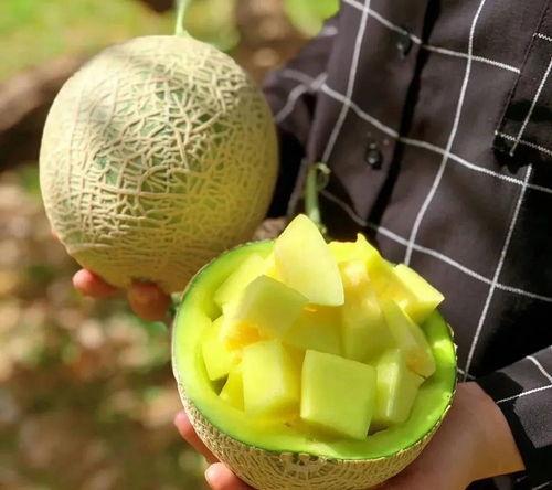 娱乐圈吃瓜老三样,明星绯闻、影视幕后、综艺花絮深度解析