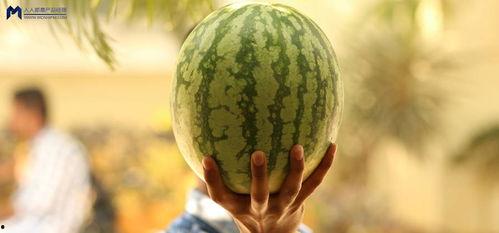 娱乐圈吃瓜是什么